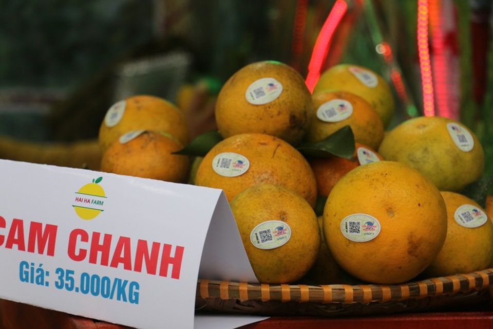 Sản vật Hà Tĩnh cùng hội tụ tại Lễ hội Cam - 5 Hà Tĩnh nổi tiếng với các loại cây ăn trái như cam bù tập trung ở các xã Sơn Thọ, Đức Lĩnh (huyện Vũ Quang), xã Sơn Trường, Sơn Mai (huyện Hương Sơn), bưởi Phúc Trạch, cam Khe Mây (huyện Hương Khê), cam Thượng Lộc (huyện Can Lộc).