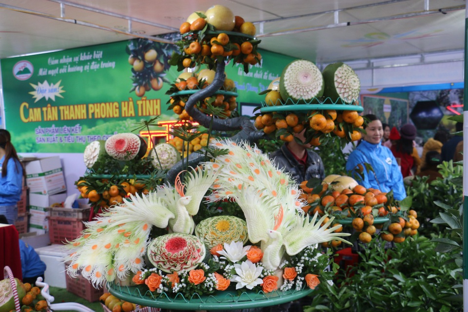 Sản vật Hà Tĩnh cùng hội tụ tại Lễ hội Cam - 9 Sản vật Hà Tĩnh cùng hội tụ tại Lễ hội Cam - 9