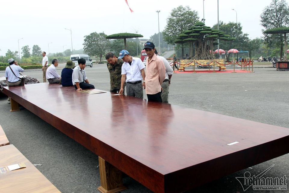 Dân Thủ đô đổ xô đi xem "mỹ nhân chân dài" tiền tỷ - 1
Chiếc phản làm từ gỗ cẩm Kevazingo.
