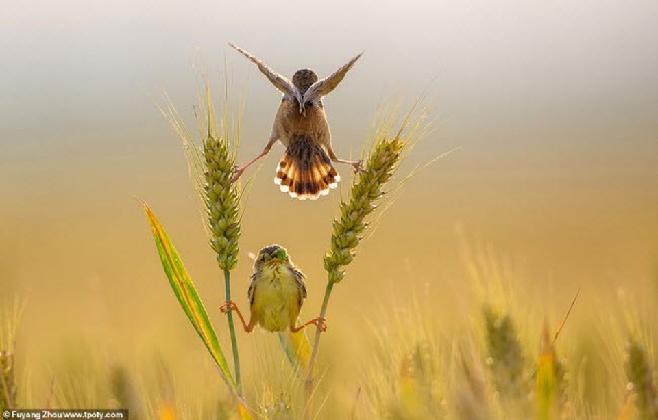 Những bức ảnh du lịch đẹp nhất năm 2018 khiến mọi người chỉ muốn xách balo lên và đi ngay - 2