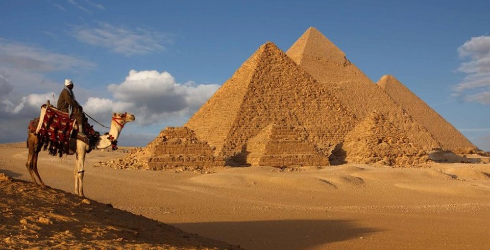 
(Ảnh minh họa: Trafalgar)
