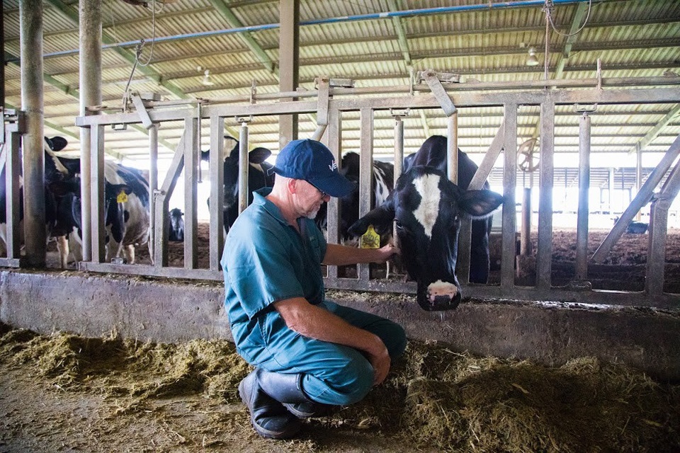 Chuyên gia quốc tế đánh giá cao chất lượng sữa A2 của TH true MILK - 1
Chuyên gia quốc tế của TH thực hiện việc phân tách đàn bò sữa A2 để thu được sữa tươi sạch TH true MILK A2, đáp ứng nhu cầu thị trường trong nước.