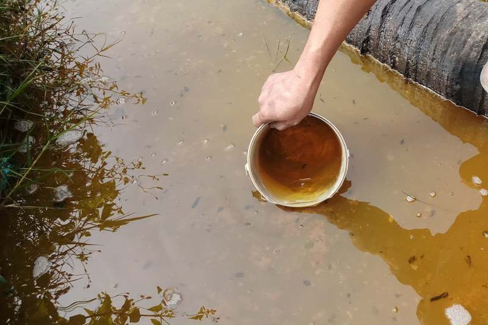 Những lớp váng dầu nổi trên mặt nước.