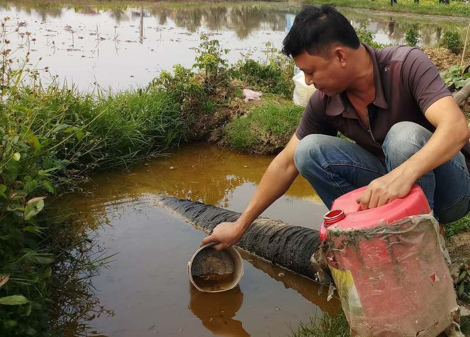 Dầu đóng lại tại nhiều hố nước.