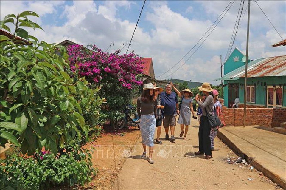 Đà Lạt: Khách sạn tăng giá, khan hiếm phòng dịp Tết Dương lịch 2019 - 1 Đà Lạt: Khách sạn tăng giá, khan hiếm phòng dịp Tết Dương lịch 2019 - 1