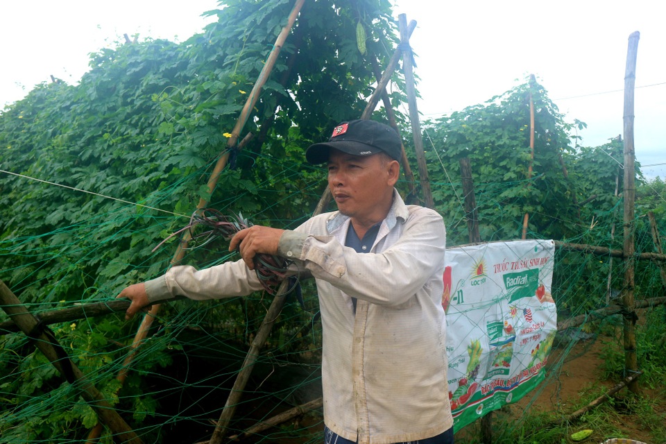 Bị mưa lũ tàn phá, nông dân lại phải trắng đêm canh trộm nông sản - 1 Người dân bức xúc trước nạn trộm nông sản lộng hành của các đối tượng trộm cắp