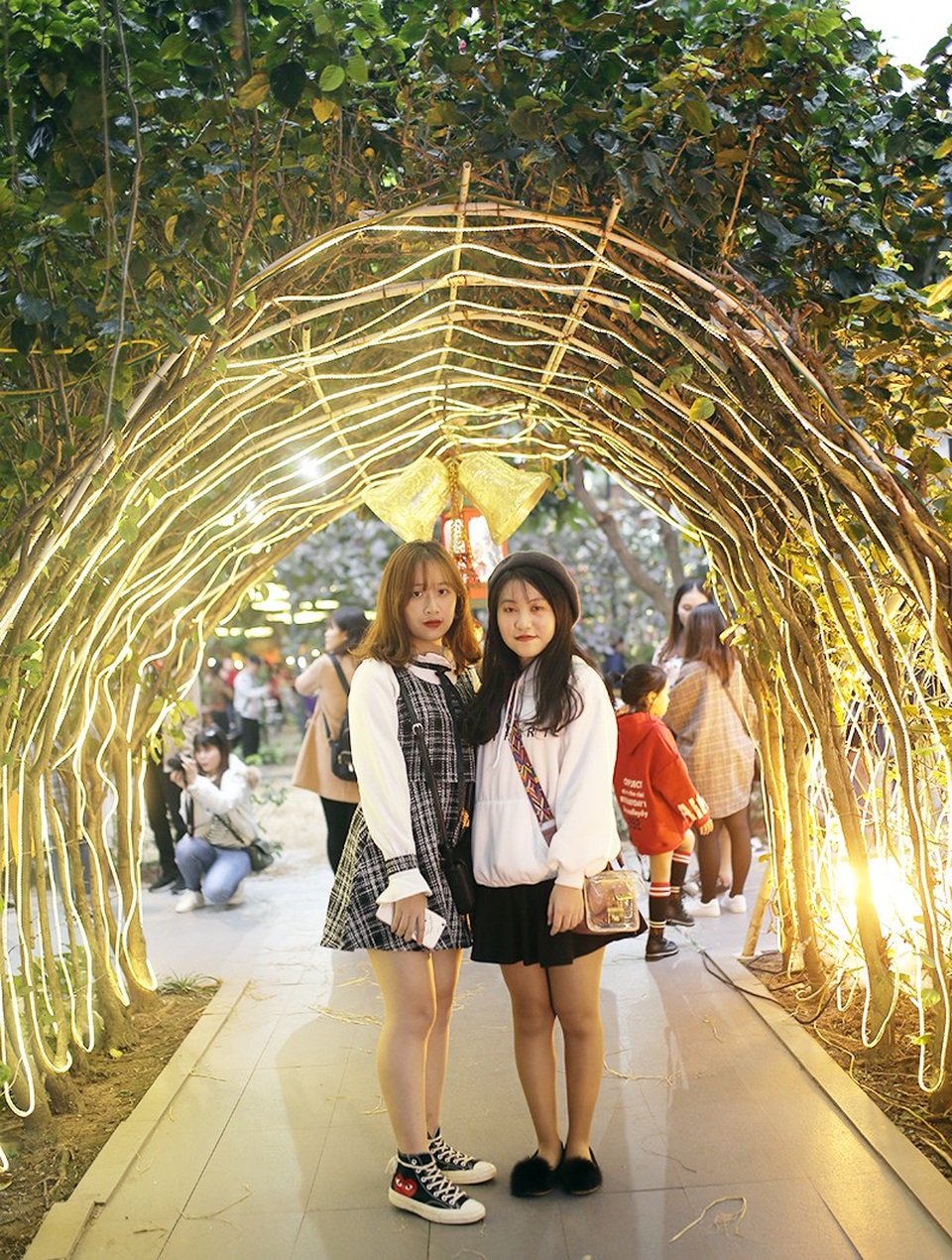 Sinh viên hào hứng với khu vườn Giáng sinh lộng lẫy như ở trời Âu - 9 
Vòm cây quen thuộc dẫn vào vườn trường được trang hoàng bằng hệ thống đèn điện lộng lẫy