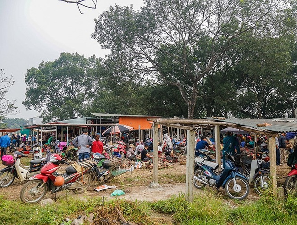 Độc đáo nghề rang ngũ cốc chợ Nủa - 1
Chỉ cách trung tâm Hà Nội 30 km, chợ Nủa (xã Bình Phú, Thạch Thất) vẫn còn giữ được những nét đặc sắc của chợ phiên vùng đồng bằng Bắc Bộ xưa.