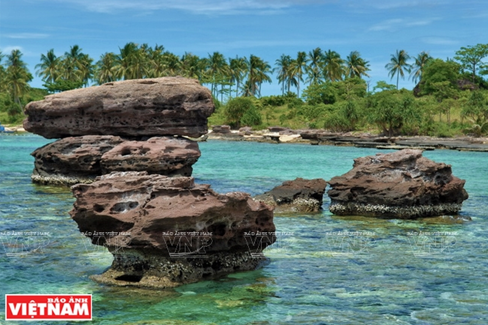 Khám phá vẻ đẹp hoang sơ của An Thới với dải san hô đẹp nhất Việt Nam - 4 Khám phá vẻ đẹp hoang sơ của An Thới với dải san hô đẹp nhất Việt Nam - 4