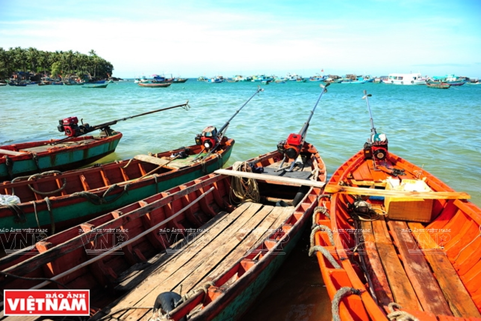 Khám phá vẻ đẹp hoang sơ của An Thới với dải san hô đẹp nhất Việt Nam - 5 Khám phá vẻ đẹp hoang sơ của An Thới với dải san hô đẹp nhất Việt Nam - 5