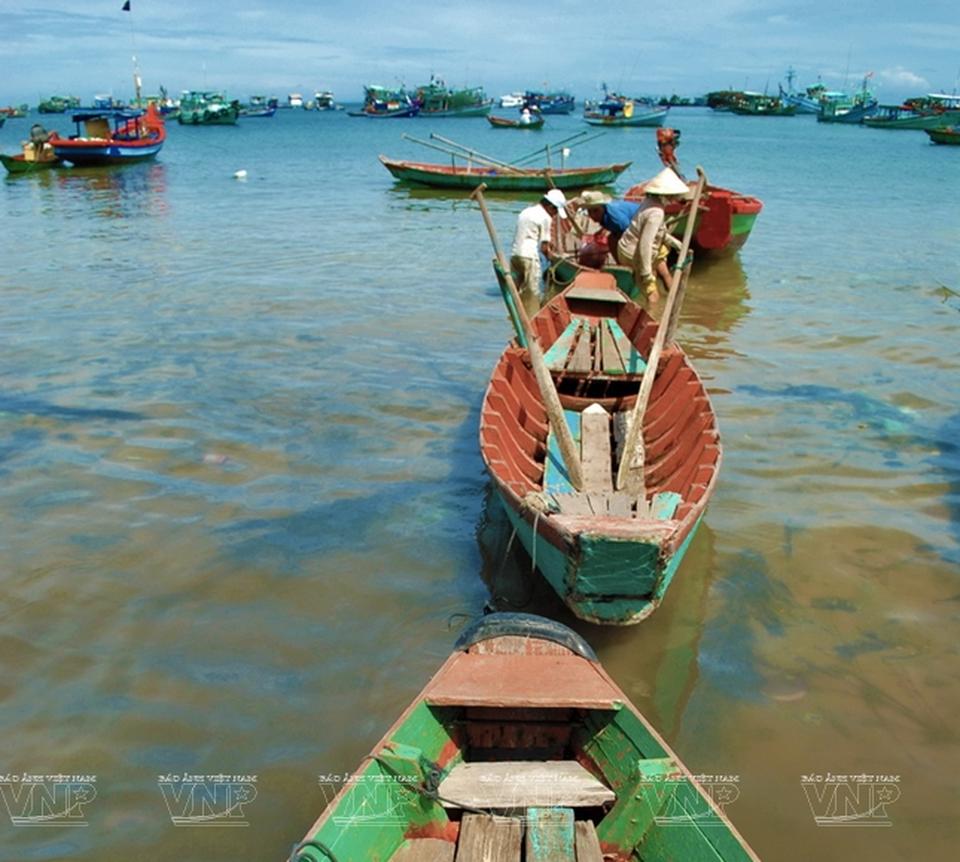 Khám phá vẻ đẹp hoang sơ của An Thới với dải san hô đẹp nhất Việt Nam - 7 Khám phá vẻ đẹp hoang sơ của An Thới với dải san hô đẹp nhất Việt Nam - 7