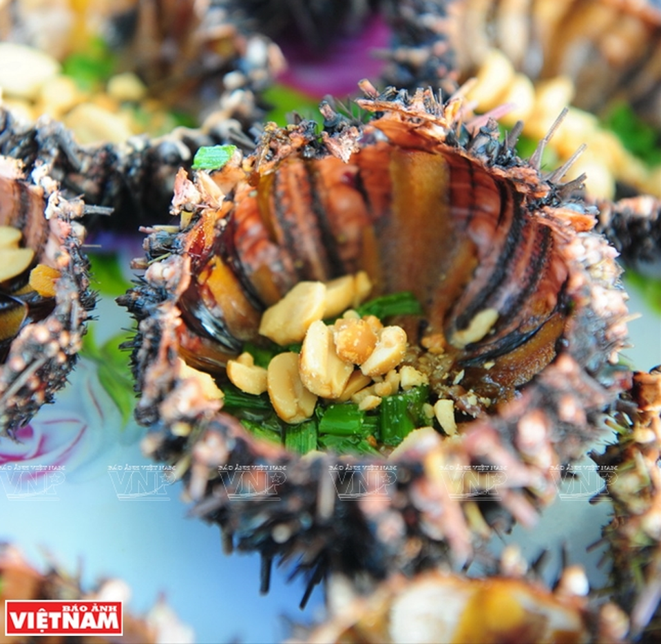 Khám phá vẻ đẹp hoang sơ của An Thới với dải san hô đẹp nhất Việt Nam - 8 Khám phá vẻ đẹp hoang sơ của An Thới với dải san hô đẹp nhất Việt Nam - 8