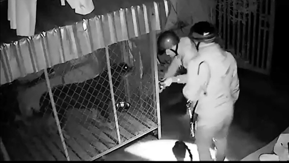 Camera an ninh “soi” trộm, người vi phạm giao thông ở làng quê - 2 Nhờ hệ thống camera mà nạn trộm cắp ở thôn quê huyện Lệ Thủy giảm hẳn (Ảnh minh hoạ).