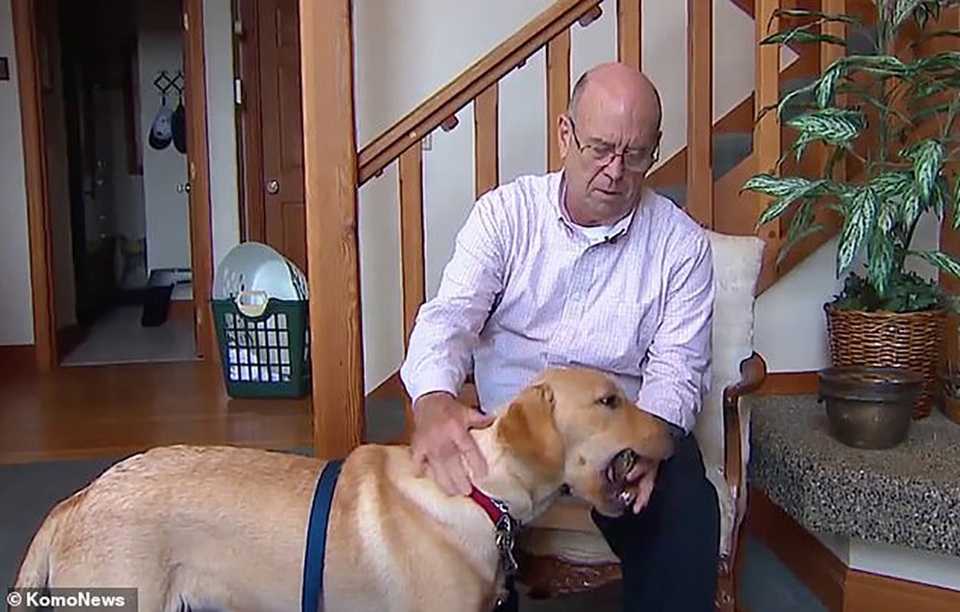 
Chú chó 8 tháng tuổi tha về cho chủ một… hóa thạch răng voi khổng lồ.
