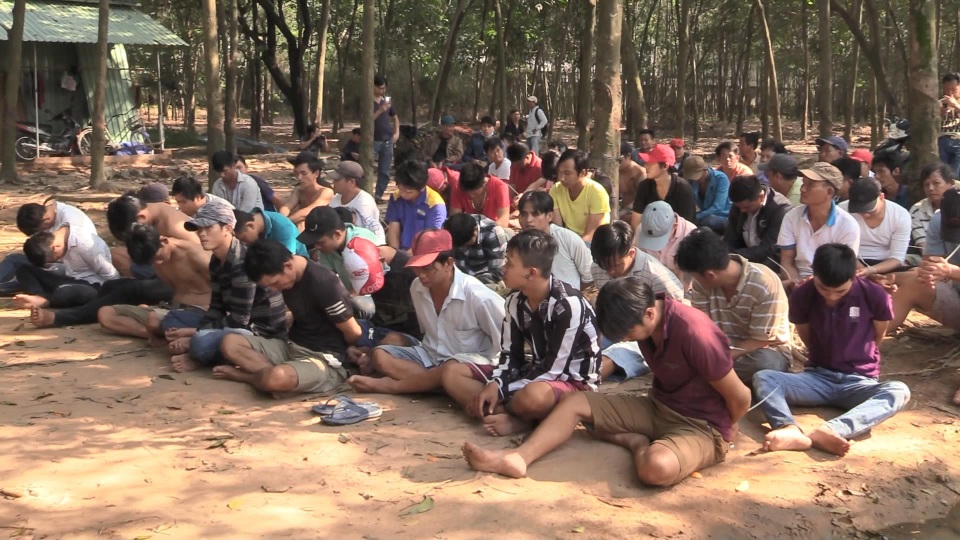 Con bạc bị bắt giữ tại trường gà.