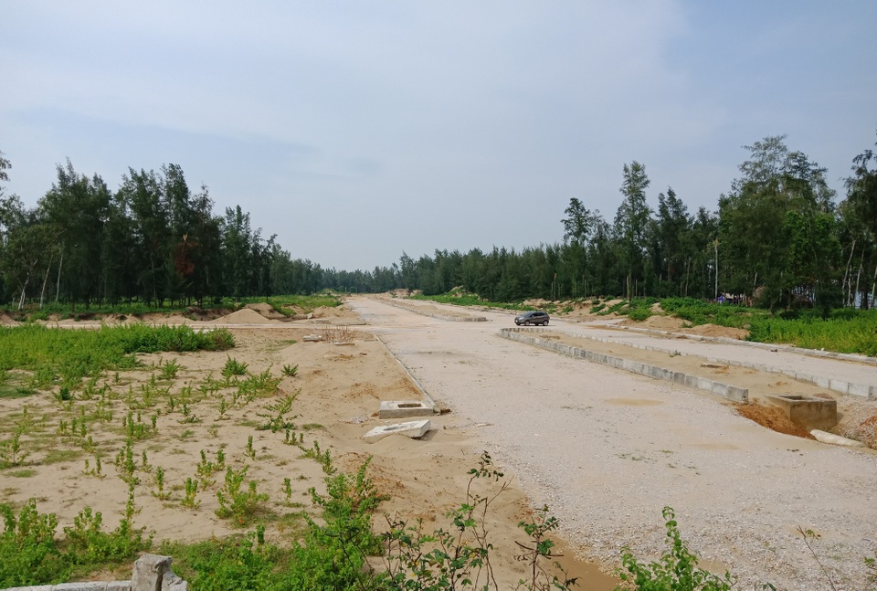 Nhiều dự án "treo" đang tàn phá hàng nghìn ha rừng phòng hộ - 1 Nhiều diện tích rừng phi lao bị phá để làm du lịch nhưng dự án cả chục năm vẫn nằm trên giấy.