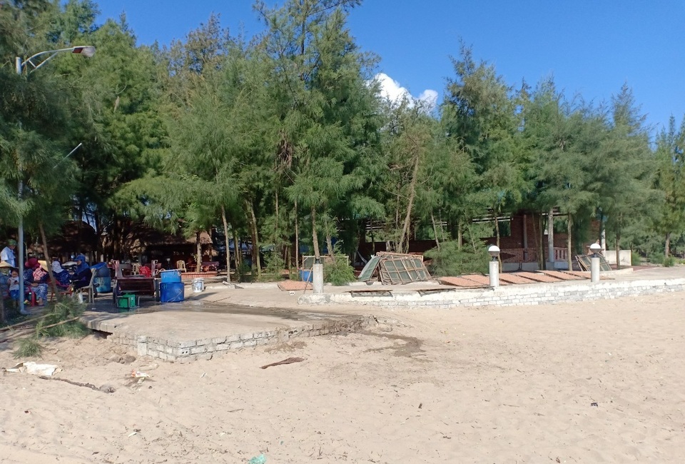 Nhiều dự án "treo" đang tàn phá hàng nghìn ha rừng phòng hộ - 2 Cánh rừng phi lao xanh tốt sát bờ biển xã Quảng Lợi (huyện Quảng Xương) trước đây là rừng phòng hộ, quy hoạch lại 3 loại rừng Thanh Hóa đã “xóa sổ” cánh rừng này.