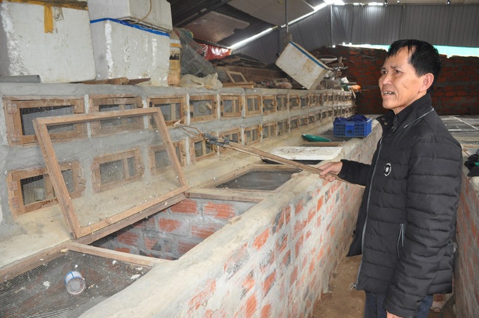 Nuôi loài vật “ai cũng sợ”, hai cha con kiếm trăm triệu đồng mỗi năm - 1 Ông Nhuần bên các chuồng nuôi rắn của gia đình mình.