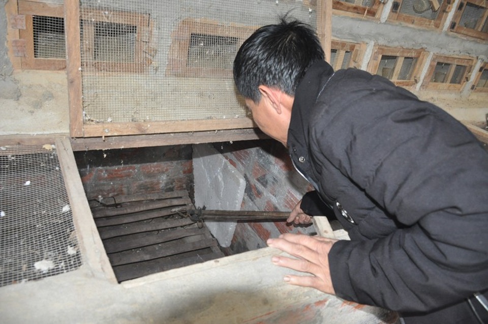 Nuôi loài vật “ai cũng sợ”, hai cha con kiếm trăm triệu đồng mỗi năm - 4 Ông Nhuần và con trai vừa xây thêm 350 chuồng nhỏ để tăng nuôi số lượng đàn, tăng thu nhập
