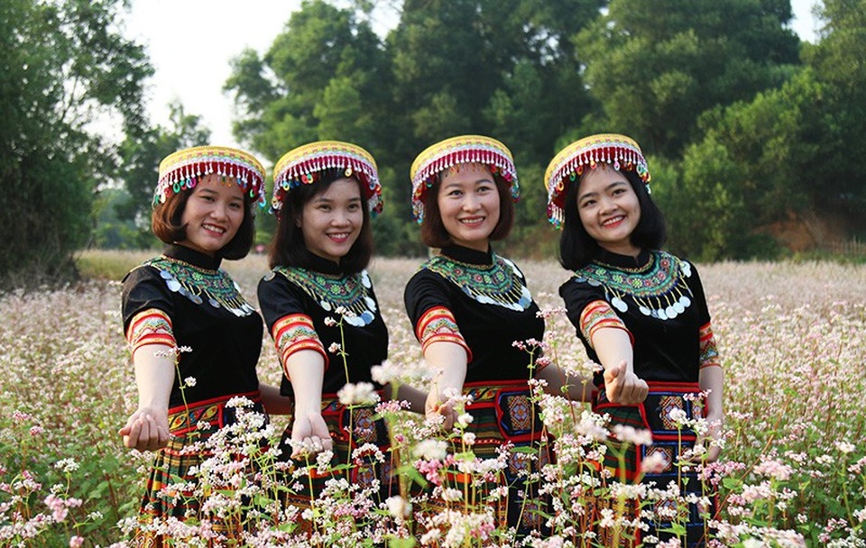 Cánh đồng hoa tam giác mạch nở rộ tại Hà Nội - Ảnh 3.