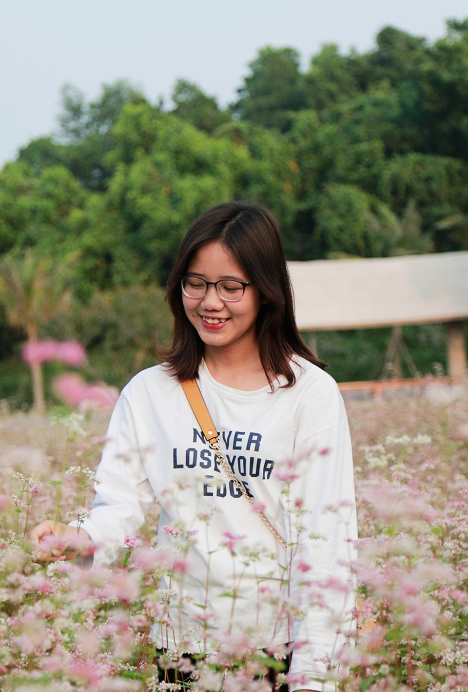 Cánh đồng hoa tam giác mạch nở rộ tại Hà Nội - Ảnh 5.