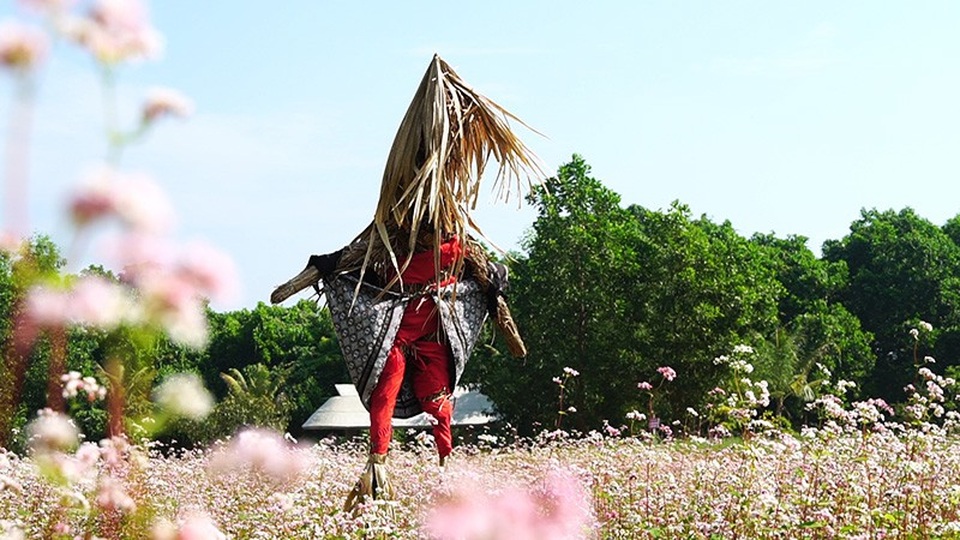 Cánh đồng hoa tam giác mạch nở rộ tại Hà Nội - Ảnh 6.