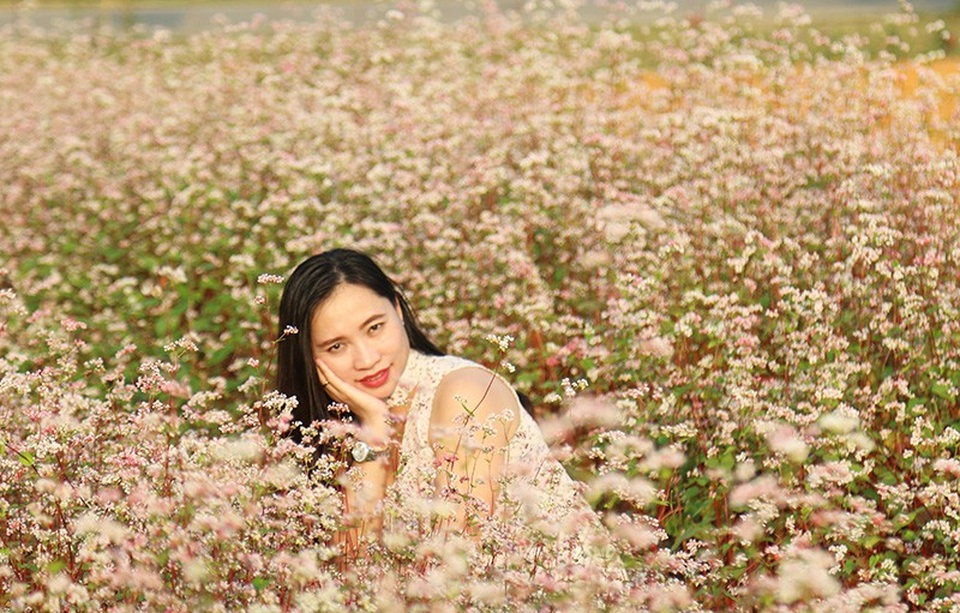 Cánh đồng hoa tam giác mạch nở rộ tại Hà Nội - Ảnh 7.