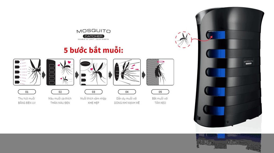 Ngăn ngừa sốt xuất huyết hiệu quả ngay tại nhà - Ảnh 3. Ngăn ngừa sốt xuất huyết hiệu quả ngay tại nhà - Ảnh 3.