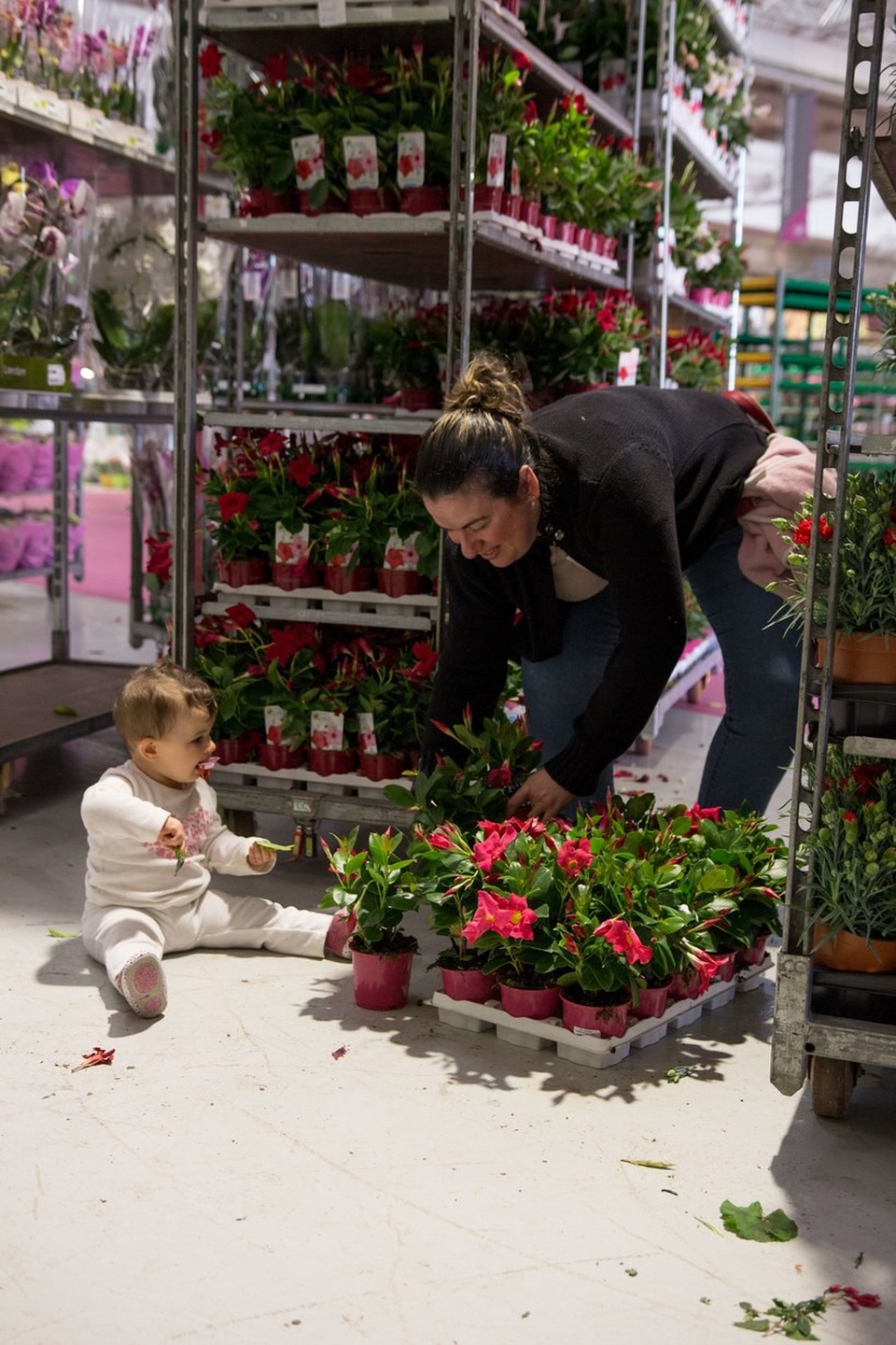 Đến thăm chợ hoa lớn nhất thủ đô Paris - Ảnh 2.