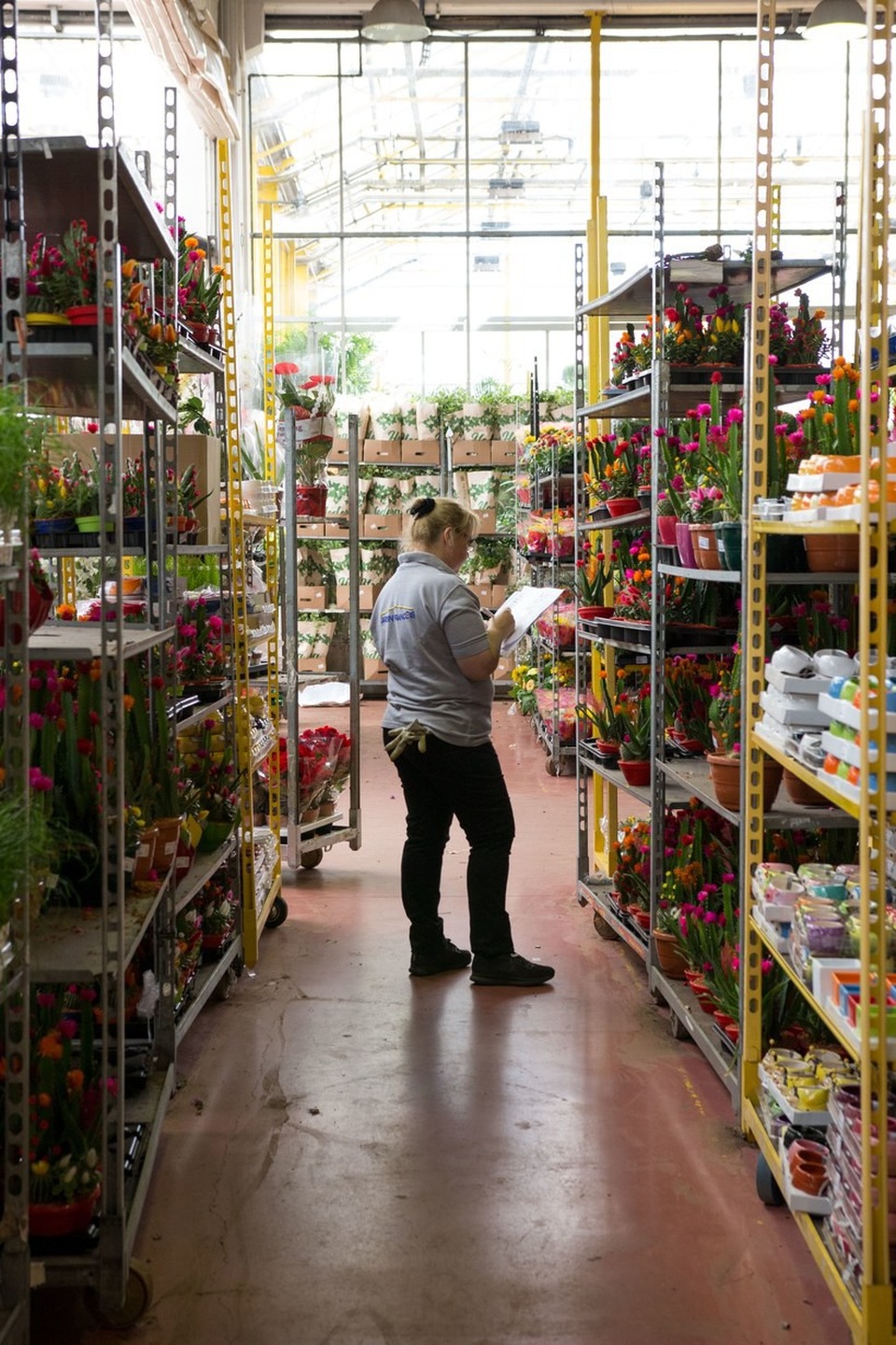 Đến thăm chợ hoa lớn nhất thủ đô Paris - Ảnh 7.