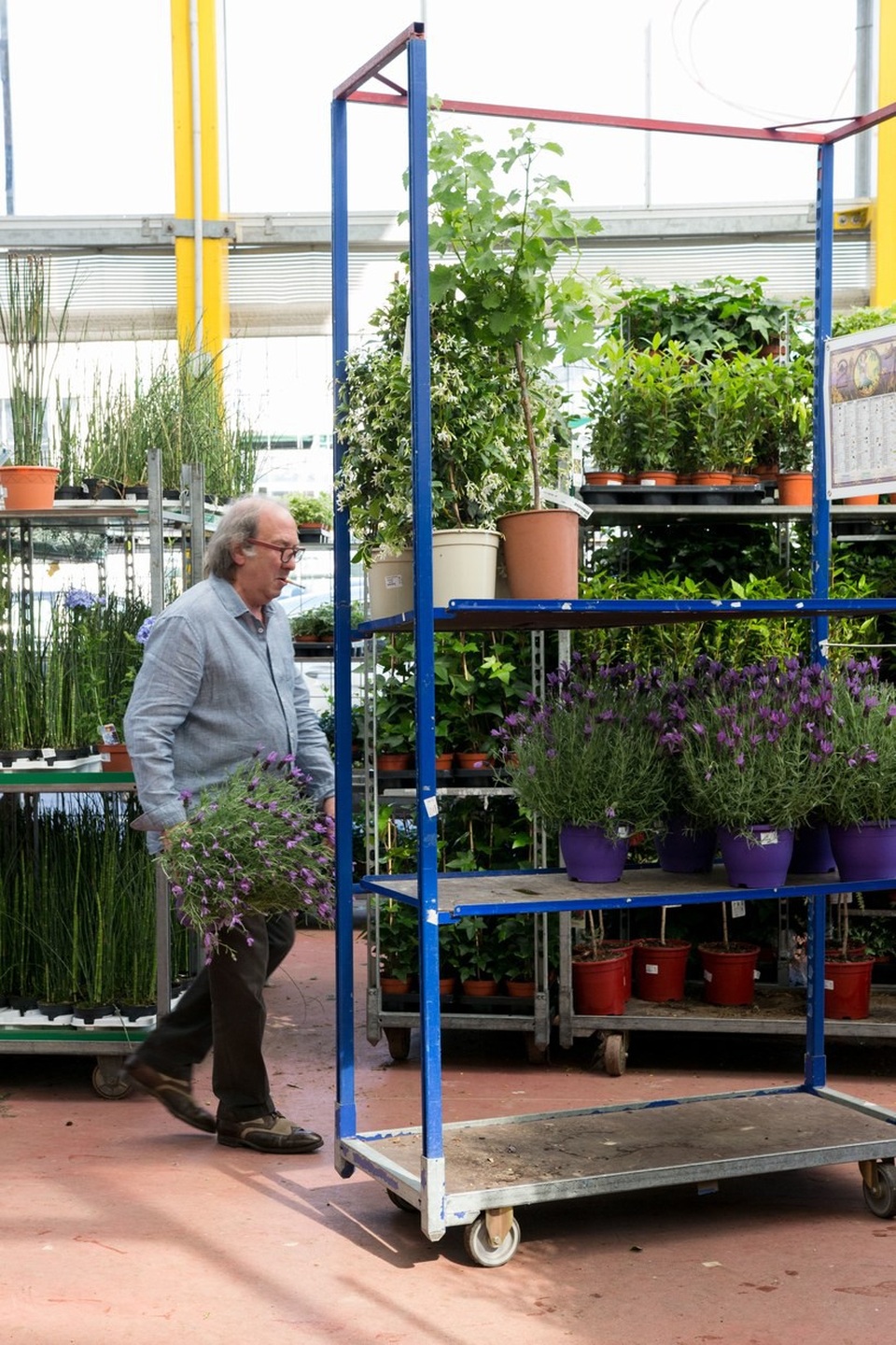 Đến thăm chợ hoa lớn nhất thủ đô Paris - Ảnh 8.