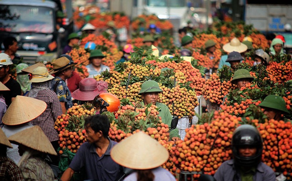 Hàng loạt dấu mốc lịch sử được xác lập tại Bắc Giang năm 2018 - Ảnh 2. Hàng loạt dấu mốc lịch sử được xác lập tại Bắc Giang năm 2018 - Ảnh 2.