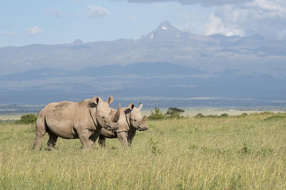 Châu Phi: 16 địa danh đẹp ngỡ ngàng - Ảnh 3. Châu Phi: 16 địa danh đẹp ngỡ ngàng - Ảnh 3.