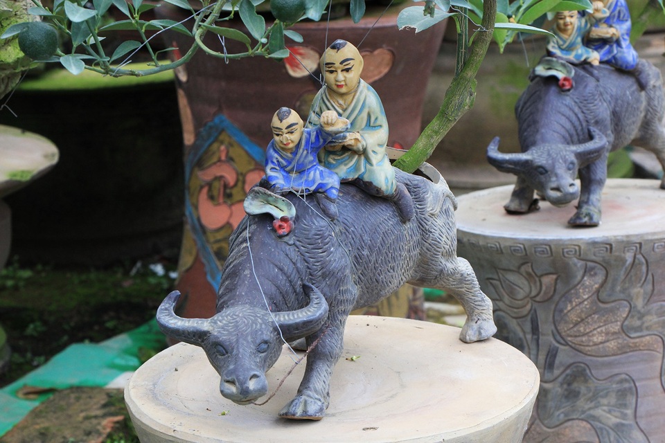 Heo đất “cõng” quất cảnh đón Tết Kỷ Hợi 2019 - 10 Heo đất “cõng” quất cảnh đón Tết Kỷ Hợi 2019 - 10