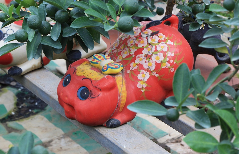 Heo đất “cõng” quất cảnh đón Tết Kỷ Hợi 2019 - 6
Những chú heo chào đón Xuân Kỷ Hợi.