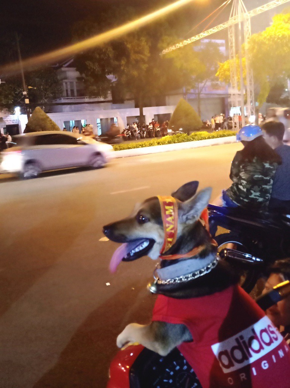 Một chú chó được chủ trang bị tận răng để đi cổ vũ, ăn mừng chiến thắng. (Ảnh: Nguyễn Hành)