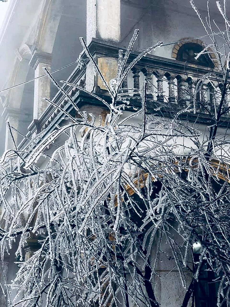Du khách thích thú với băng tuyết phủ trắng đỉnh Mẫu Sơn - 5
Trên từng cành cây, lá cỏ được phủ một lớp băng trắng xóa vô cùng đẹp mắt.