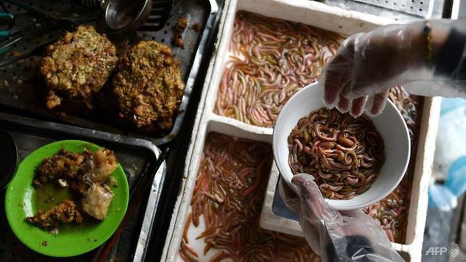 
Chả rươi - món ăn trông thì ghê mà ăn lại mê. Ảnh AFP
