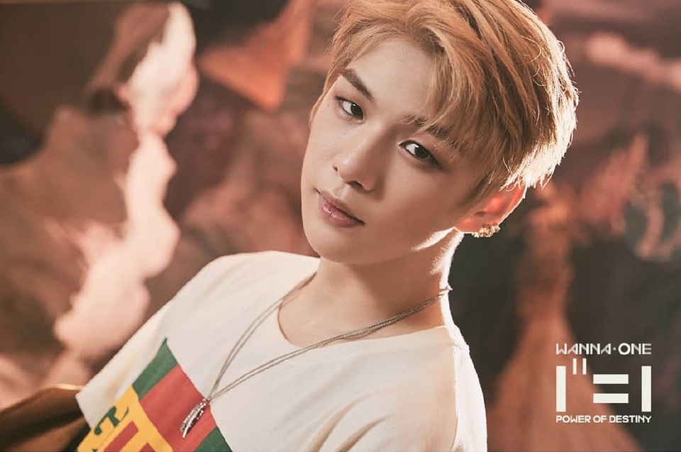 Nam thần “Aquaman” đẹp trai nhất thế giới năm qua - 4
Nam ca sĩ Kang Daniel, thành viên của nhóm nhạc nam Hàn Quốc Wanna One, đứng thứ 11. Tại Hàn Quốc, Kang Daniel đang là một gương mặt gây sốt, chàng trai 22 tuổi đã khiến rất nhiều fan nữ đổ gục bởi ánh mắt biết cười.