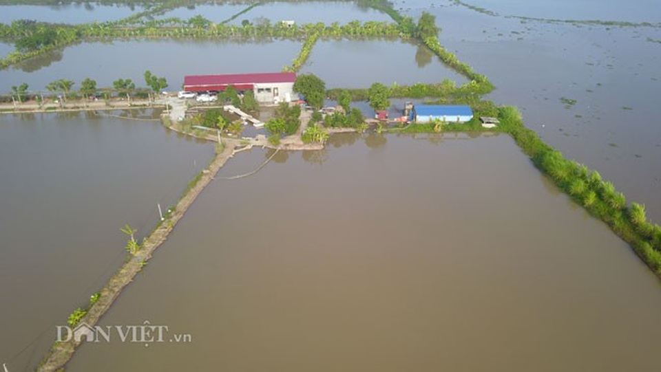 Bỏ bục giảng, thầy giáo về thu con "lộc trời" kiếm cả tỷ đồng - 1 Bỏ bục giảng, thầy giáo về thu con "lộc trời" kiếm cả tỷ đồng - 1