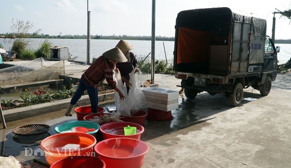 Bỏ bục giảng, thầy giáo về thu con "lộc trời" kiếm cả tỷ đồng - 11 Bỏ bục giảng, thầy giáo về thu con "lộc trời" kiếm cả tỷ đồng - 11