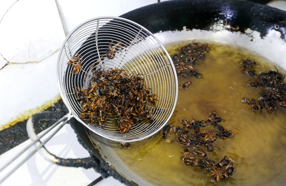 Người đàn ông bắt dế "gáy" ra tiền - 12 Dế chiên dòn qua dầu sẽ làm được nhiều món ăn hấp dẫn.