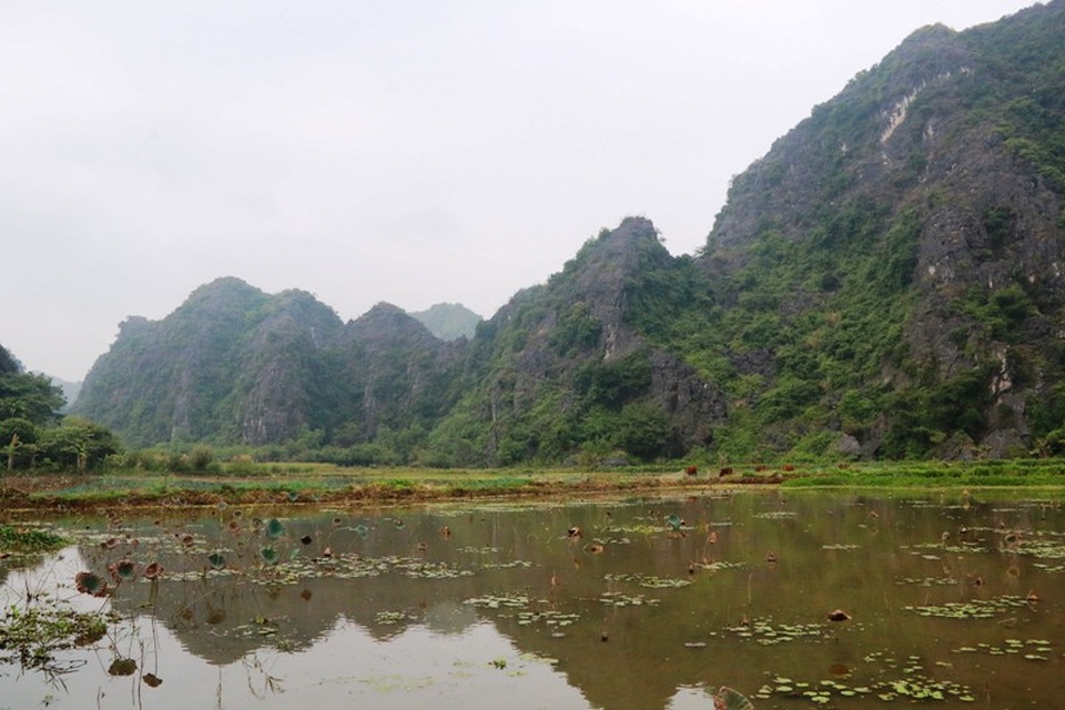 Hàng năm, từ ngày 14 - 17/3 âm lịch, người dân trong vùng lại tổ chức lễ hội đền Thái Vi để tưởng nhớ công lao to lớn của Vương Triều Trần. Đền Thái Vi hiện nay cũng là địa chỉ tâm linh linh thiêng đối với nhiều du khách thập phương. Ngoài đến lễ đền, còn được hòa mình vào thiên nhiên núi non, khung cảnh tĩnh lặng xung quanh ngôi đền cổ.