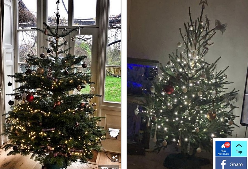 
Simon Thomas và Jack Fincham đều đã trang hoàng nhà cửa
