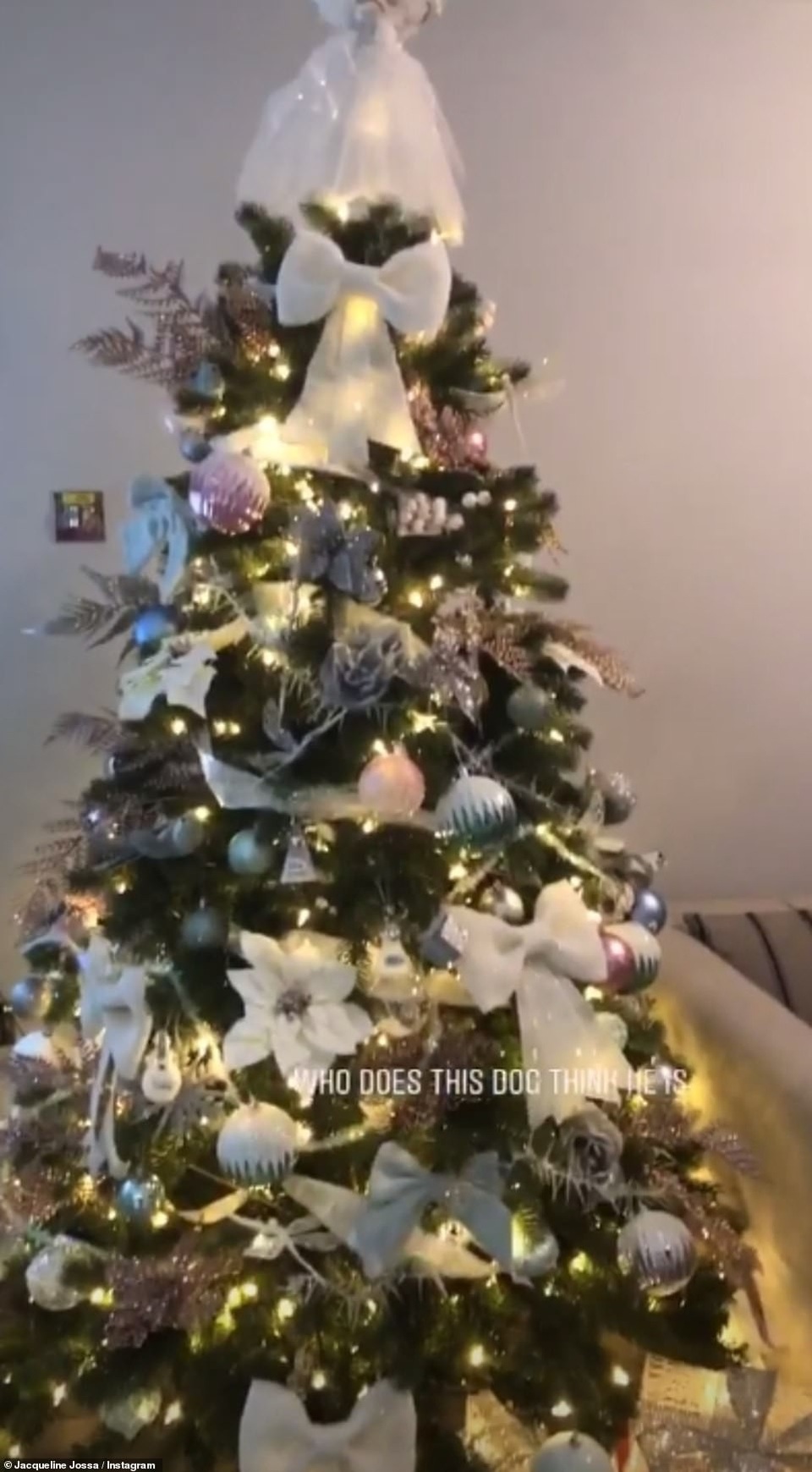 
Ngôi nhà của Jacqueline và Dan Osborne
