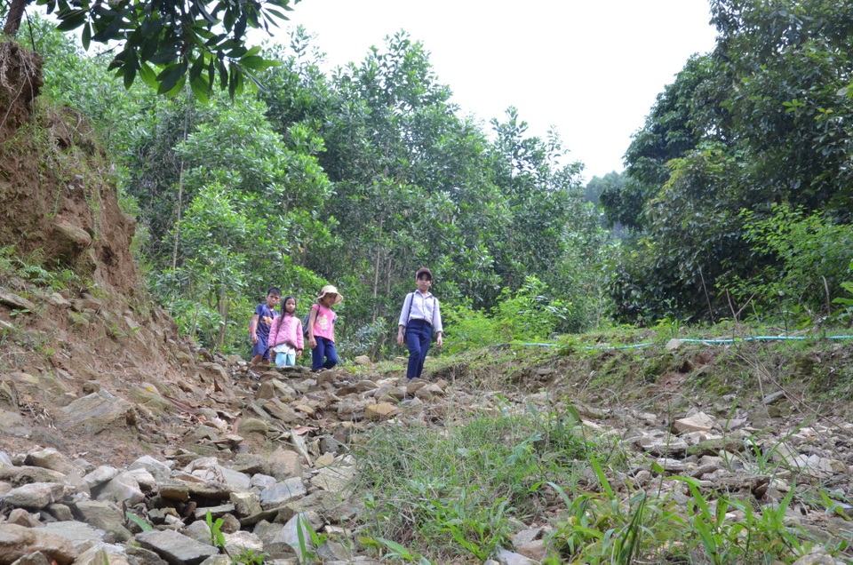 Học sinh các tổ Gò Lút, Vùng Khâm, Gò Xiêng phải mất nửa ngày trời vượt qua 14 km đường mòn để đến trường