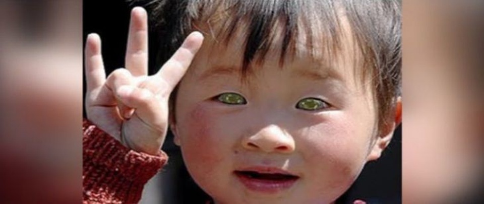 Những đôi mắt nhìn một lần và mãi mãi không thể nào quên - 7 Những đôi mắt nhìn một lần và mãi mãi không thể nào quên - 7