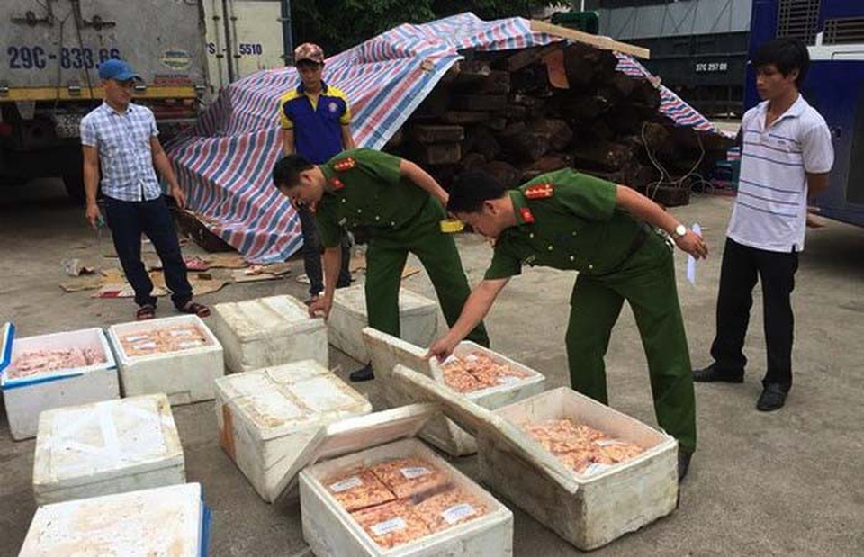 Khó xử lý hình sự các vụ việc vi phạm an toàn vệ sinh thực phẩm - 3 Cảnh sát môi trường Công an tỉnh Nghệ An bắt giữ một vụ vận chuyển thực phẩm bẩn.