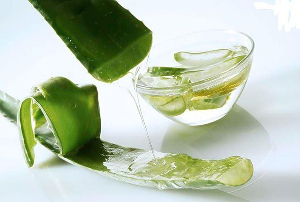 5 cách trị nám hiệu quả ngay tại nhà - 2
Mặt nạ nha đam cải thiện làn da nám sạm