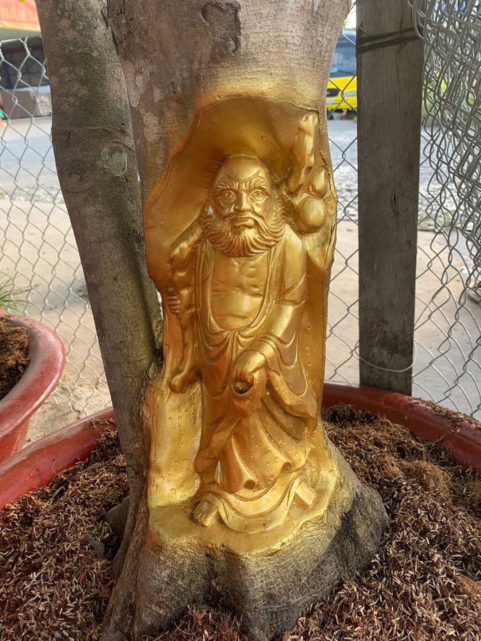 Độc đáo người đàn ông ở Cần Thơ dát vàng lên gốc cây - 3 Độc đáo người đàn ông ở Cần Thơ dát vàng lên gốc cây - 3